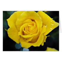 Floribunda flowers greeting card