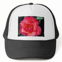 Floribunda flowers hats