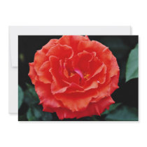 Floribunda flowers invitation