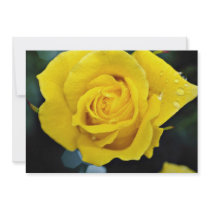 Floribunda flowers custom invites
