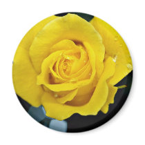 Floribunda flowers magnet