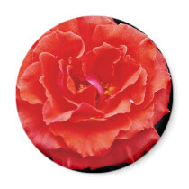 Floribunda flowers refrigerator magnets