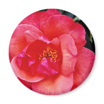Floribunda flowers fridge magnet