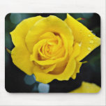 Floribunda flowers mouse pads