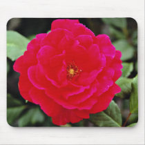 Floribunda flowers mouse pad