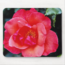 Floribunda flowers mouse pads