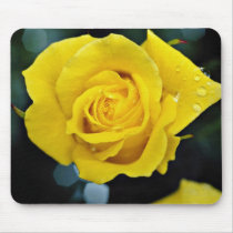 Floribunda flowers mouse pads