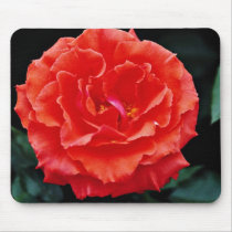 Floribunda flowers mouse pads