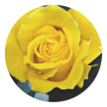 Floribunda flowers stickers