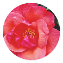 Floribunda flowers sticker