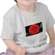 Floribunda flowers t-shirts