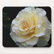 Floribunda 'French Lace' Roses Mouse Pads