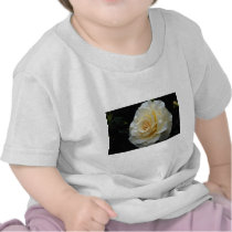Floribunda 'French Lace' Roses Tees