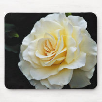Floribunda 'French Lace' White flowers Mouse Pads