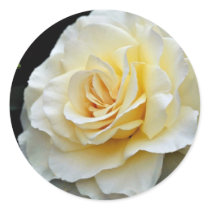 Floribunda 'French Lace' White flowers Round Sticker