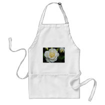 Floribunda 'Iceberg' White flowers Aprons