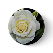 Floribunda 'Iceberg' White flowers Pinback Buttons