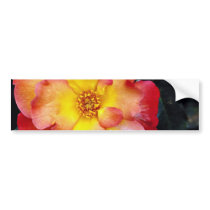 Floribunda 'Orangeade' White flowers Bumper Stickers