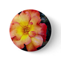 Floribunda 'Orangeade' White flowers Button