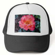 Floribunda 'Orangeade' White flowers Hat