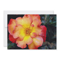 Floribunda 'Orangeade' White flowers Personalized Invitation