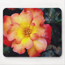 Floribunda 'Orangeade' White flowers Mousepads