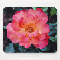 Floribunda 'Orangeade' White flowers Mouse Pads