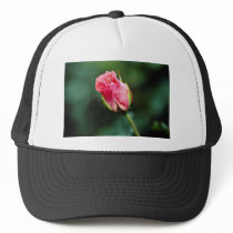 Floribunda 'Pleasure' flowers Trucker Hats