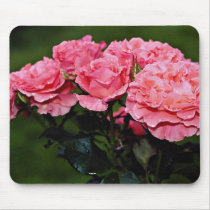 Floribunda 'Pleasure' flowers Mouse Pads