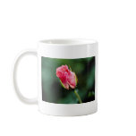 Floribunda 'Pleasure' flowers Mug