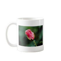 Floribunda 'Pleasure' flowers Mug