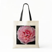 Floribunda 'Pleasure' White flowers Bags