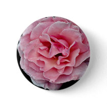 Floribunda 'Pleasure' White flowers Pinback Buttons