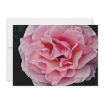 Floribunda 'Pleasure' White flowers Personalized Invite