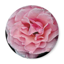 Floribunda 'Pleasure' White flowers Refrigerator Magnets