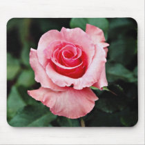 Floribunda 'Pleasure' White flowers Mousepad