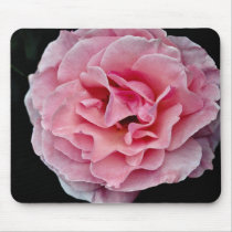 Floribunda 'Pleasure' White flowers Mouse Pad