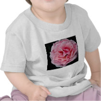 Floribunda 'Pleasure' White flowers T Shirt