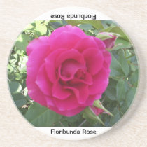 Floribunda Rose Coaster