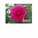 Floribunda Rose - RSVP t-shirts