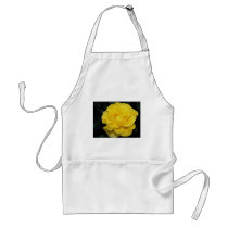 Floribunda Roses Aprons