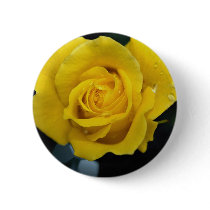 Floribunda Roses Buttons