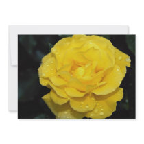 Floribunda Roses Custom Invitations