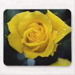 Floribunda Roses mousepads