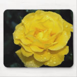 Floribunda Roses Mouse Pads