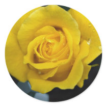 Floribunda Roses Round Sticker