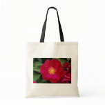 Floribunda 'Showbiz' Roses bags