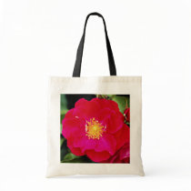 Floribunda 'Showbiz' White flowers Bag