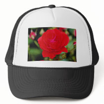 Floribunda 'Showbiz' White flowers Hat