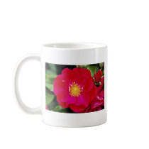 Floribunda 'Showbiz' White flowers Mug
